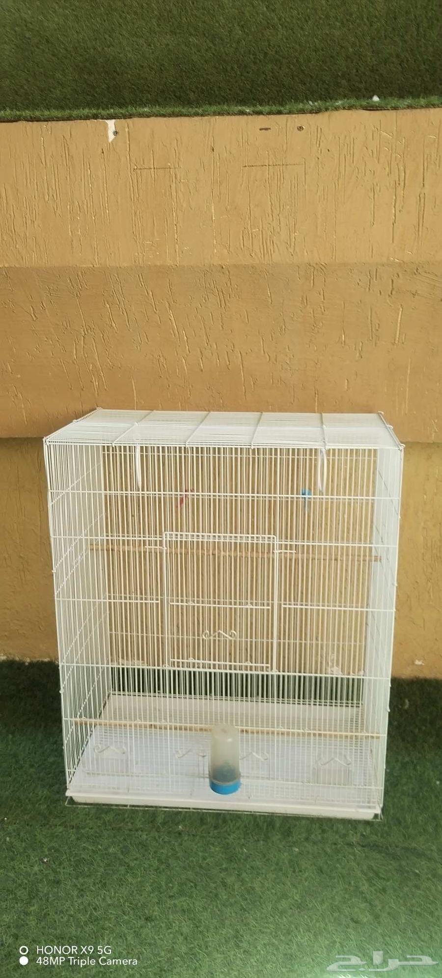 فقص طيور كبير64586514387202110