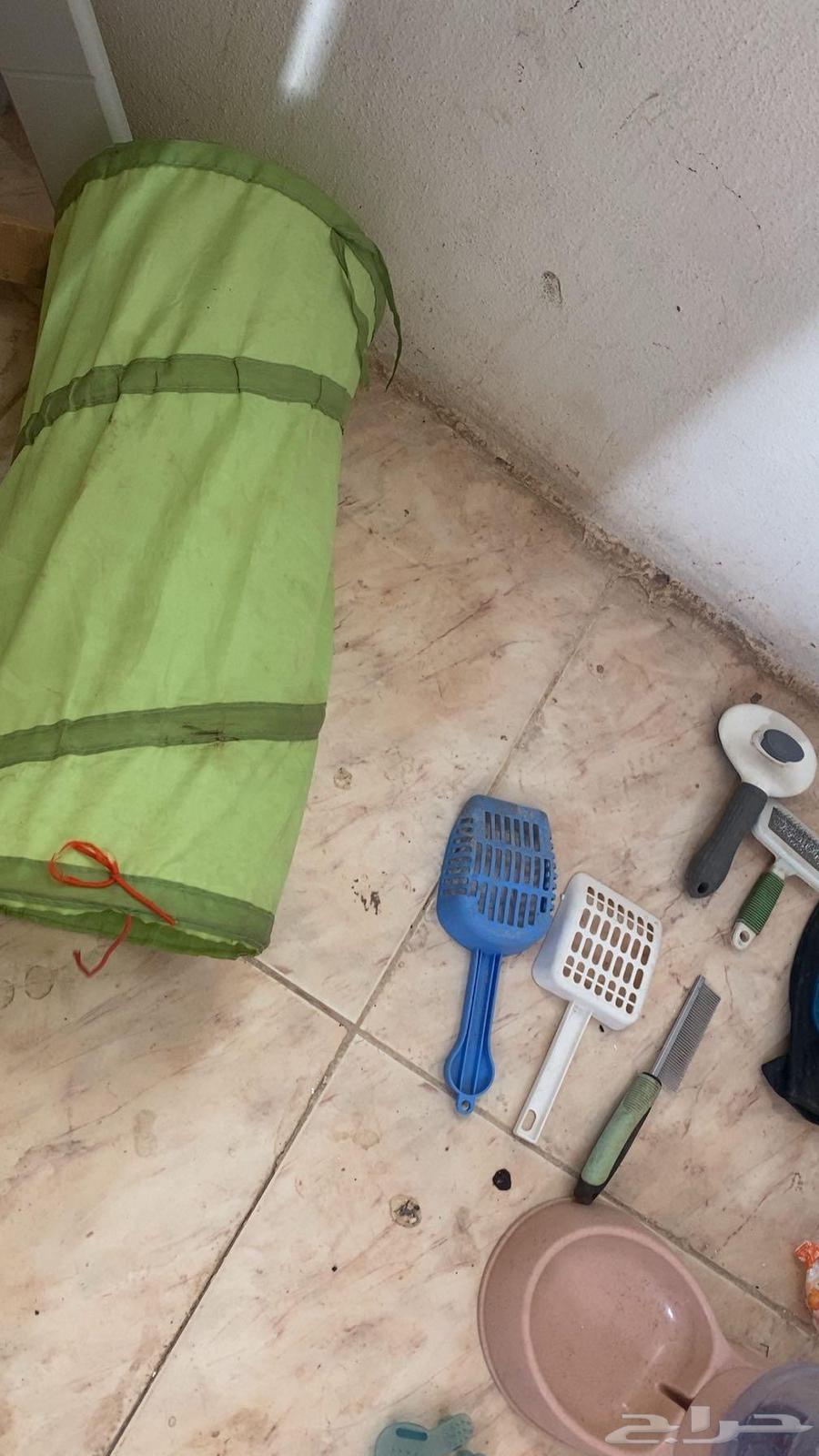 للبيع أغراض قطط بسعر رخيص64592890150529110