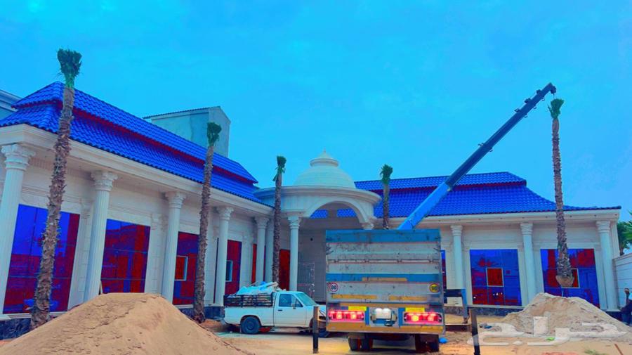 نخيل واشنطونيا ونخيل مثمر64425043969027114