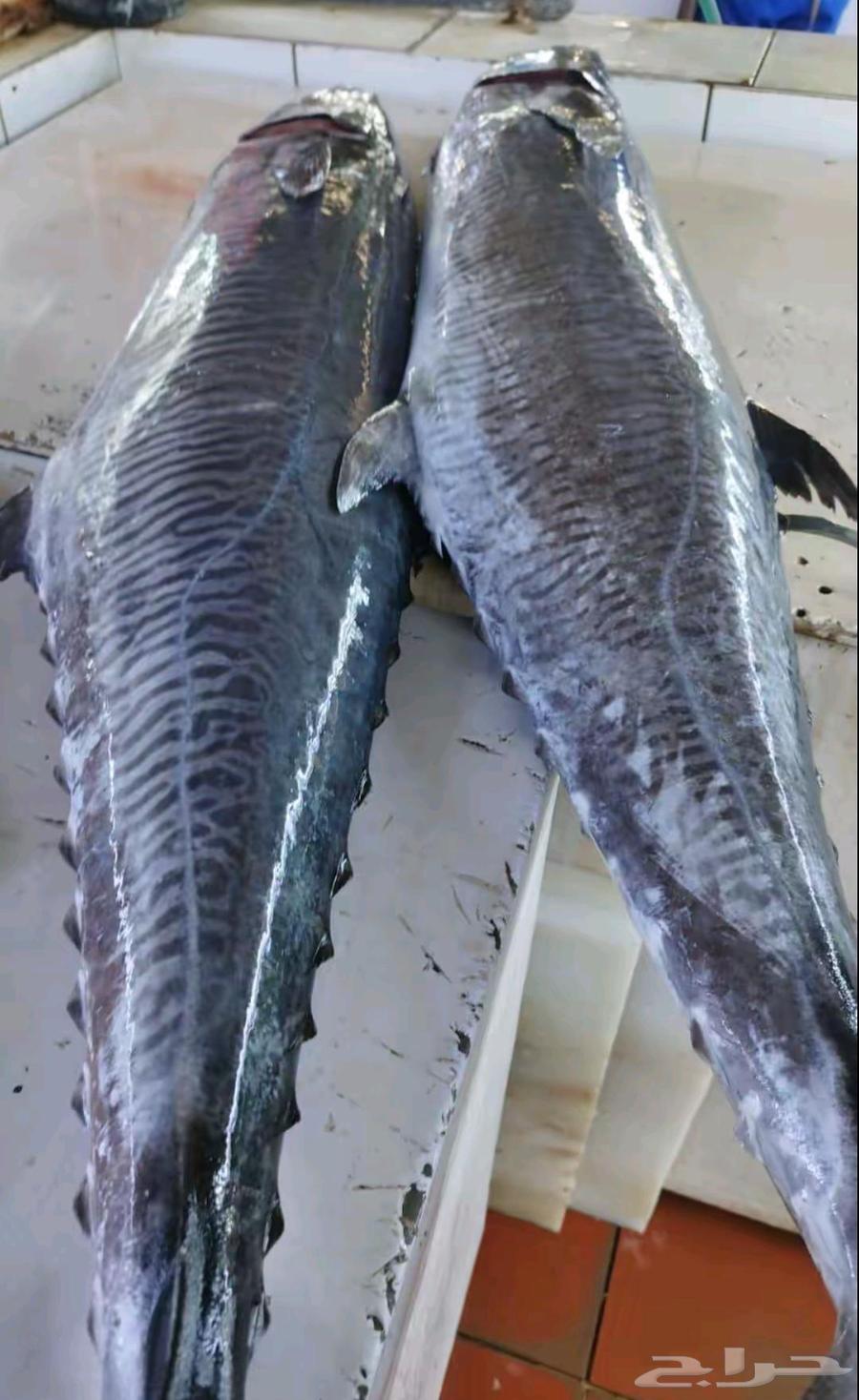 Diraa Al-Baladi, fresh, clean, and good prices, contact for more64591997405698110