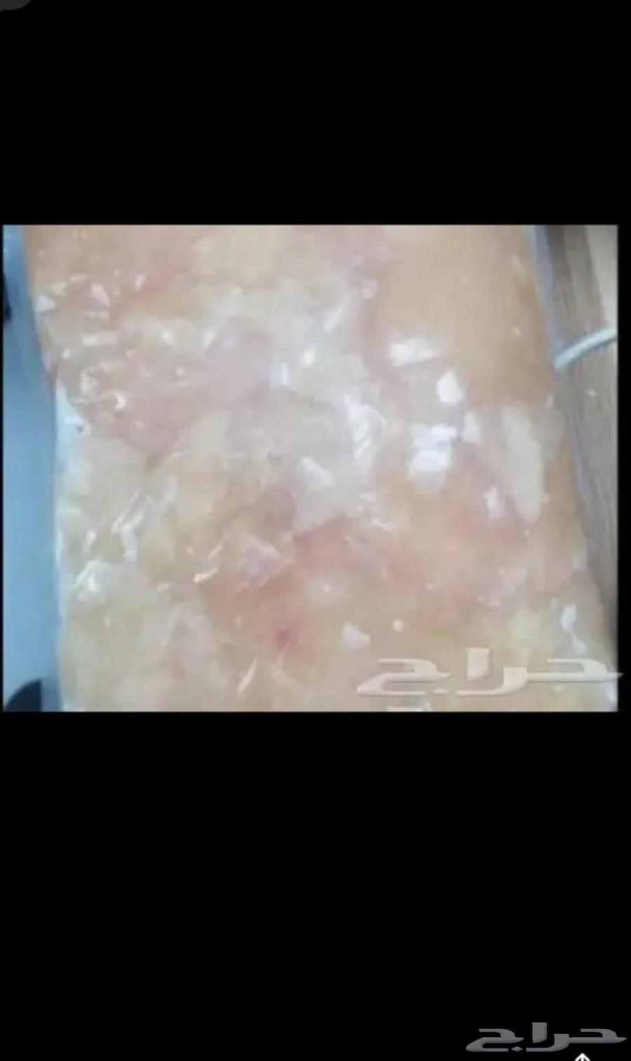 صدور دجاج فيليه64591707368833113