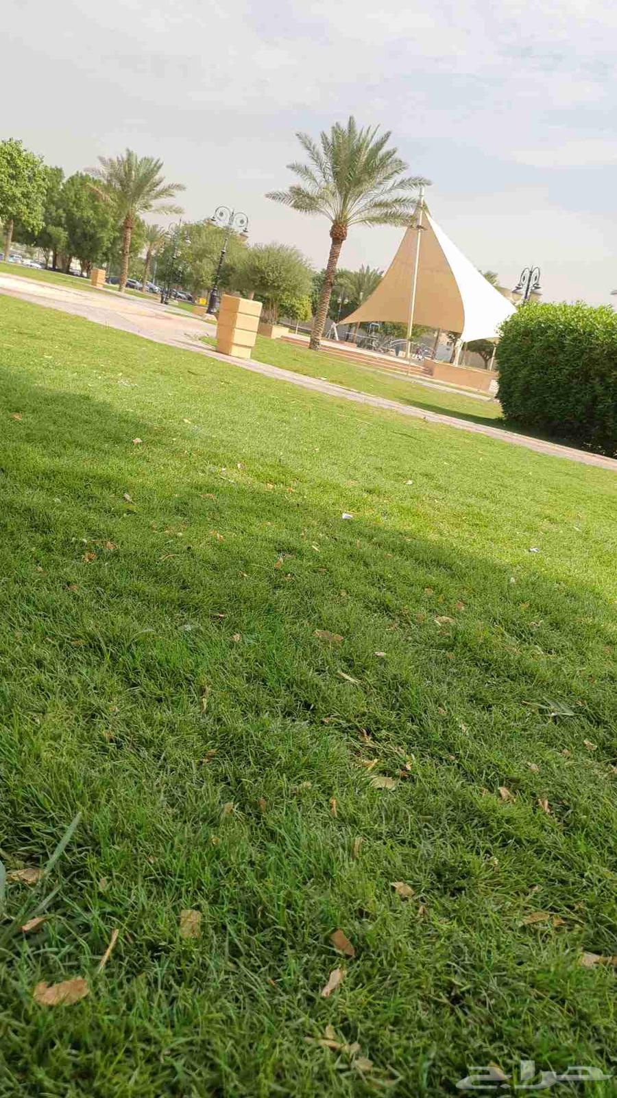 تيل طبيعي وشبكات ري64588955523714112