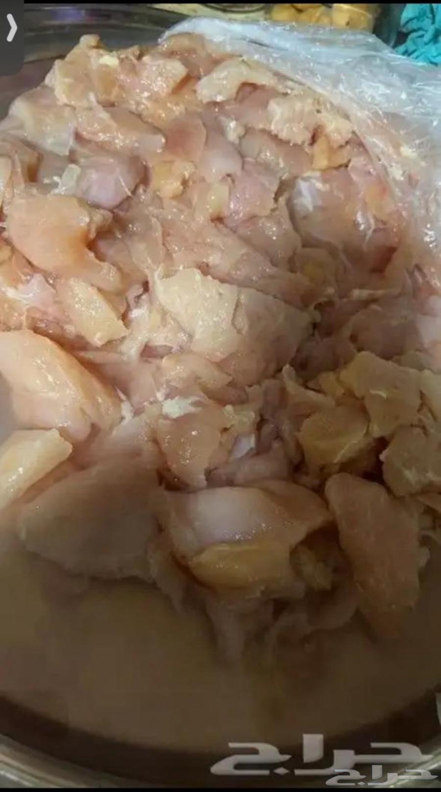 صدور دجاج فيليه64591707368833110