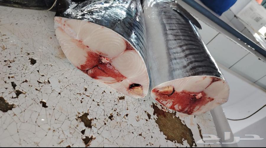 Diraa Al-Baladi, fresh, clean, and good prices, contact for more64591997405698111