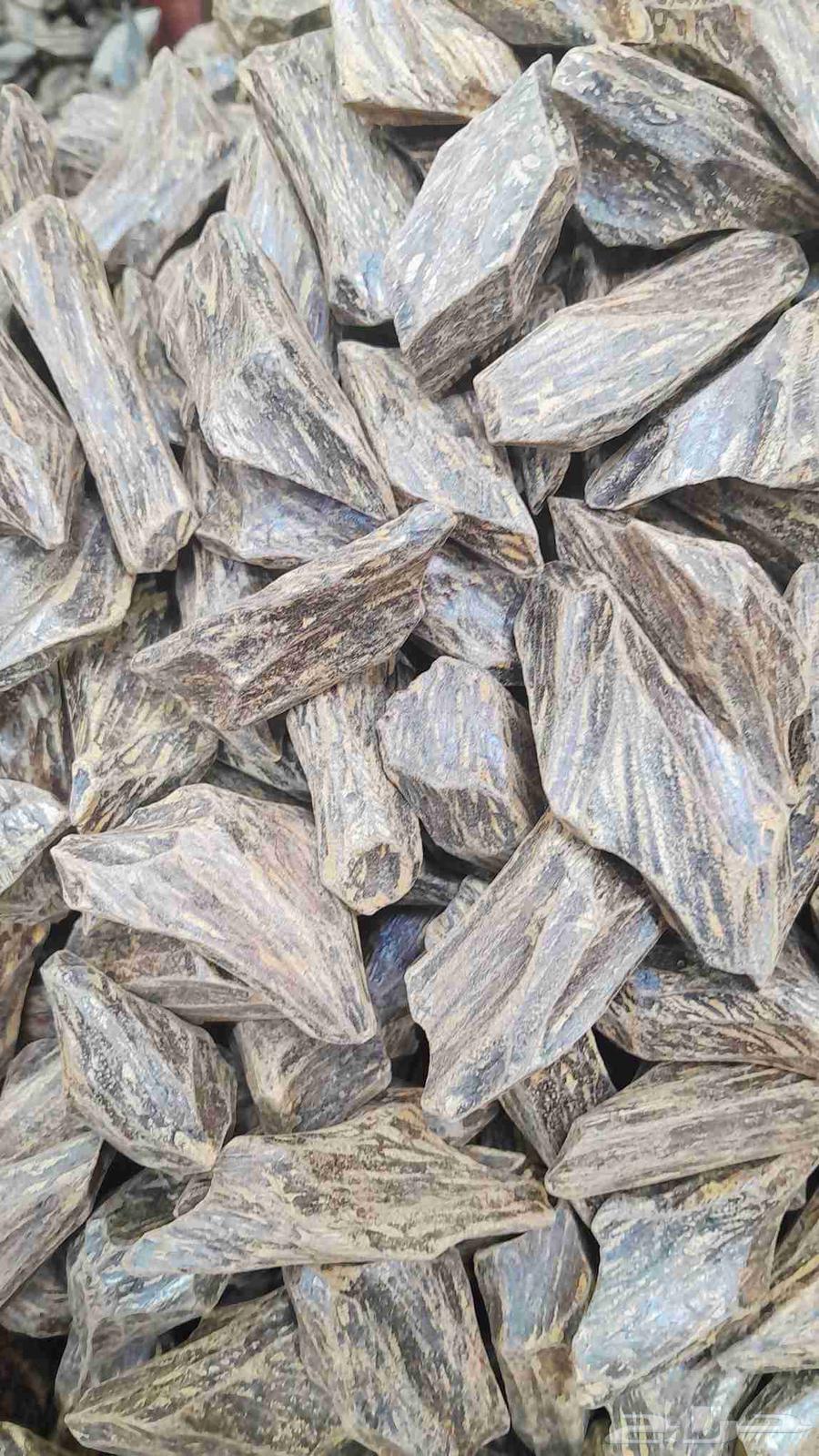 عود مروكي و كلمنتان 2 كيلو بسعر 600 ريال فقط64590667775747110