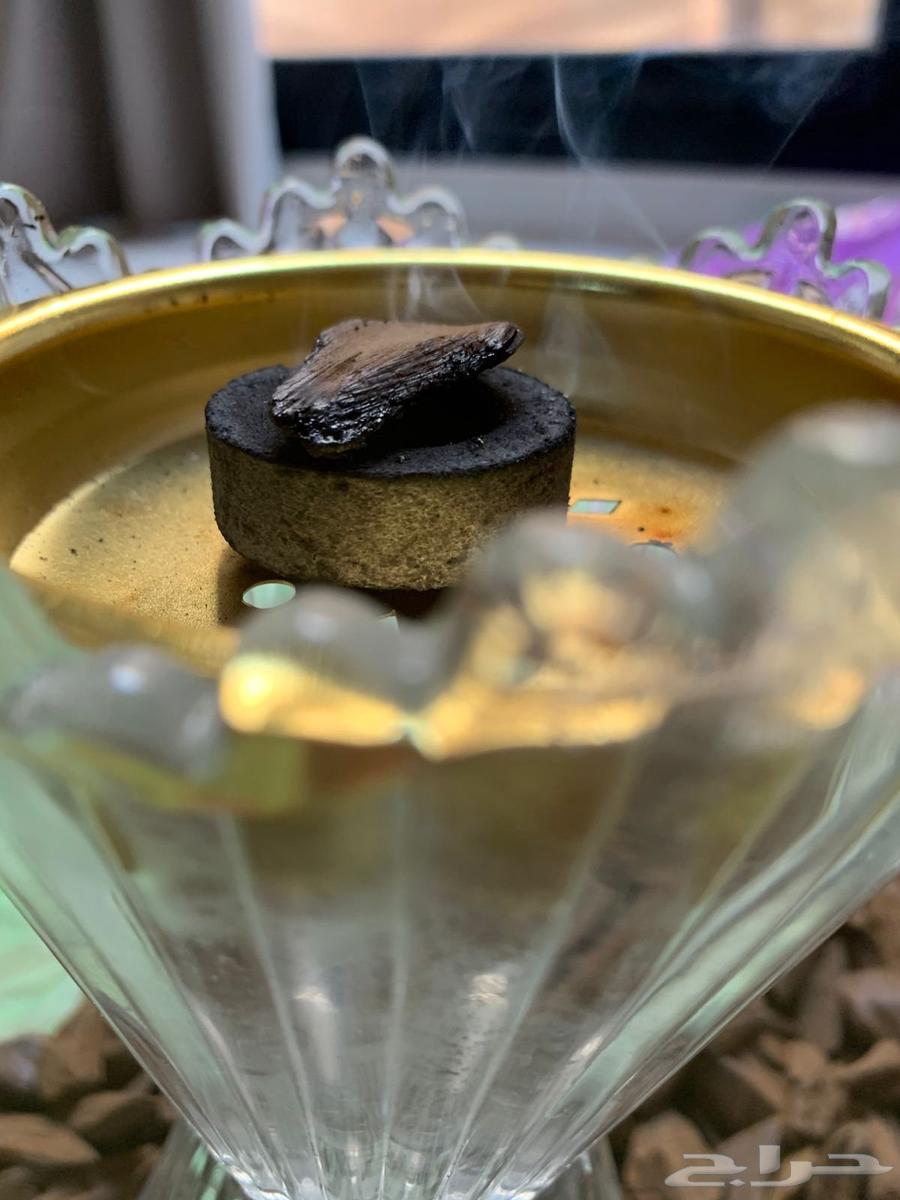 عود مروكي محسن بيور ورخيص جمله جمله64592118043394111