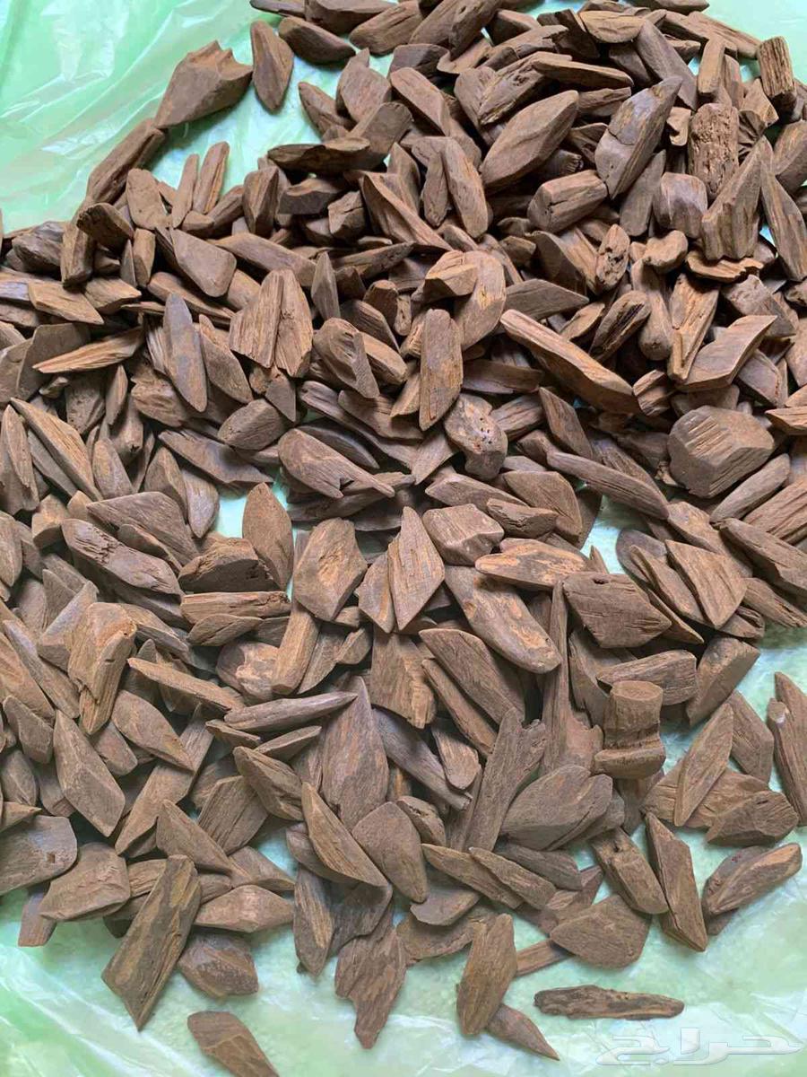 عود مروكي محسن بيور ورخيص جمله جمله64592118043394113