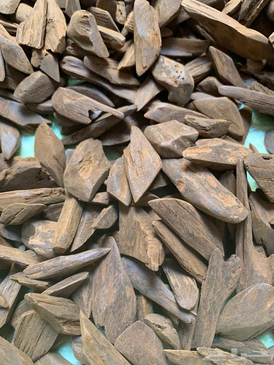 عود مروكي محسن بيور ورخيص جمله جمله64592118043394114