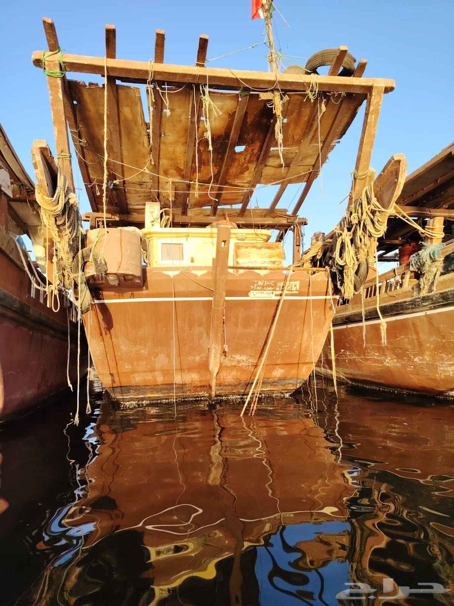 لنج فيبر _ نوع ابوشهاب64593411153537110