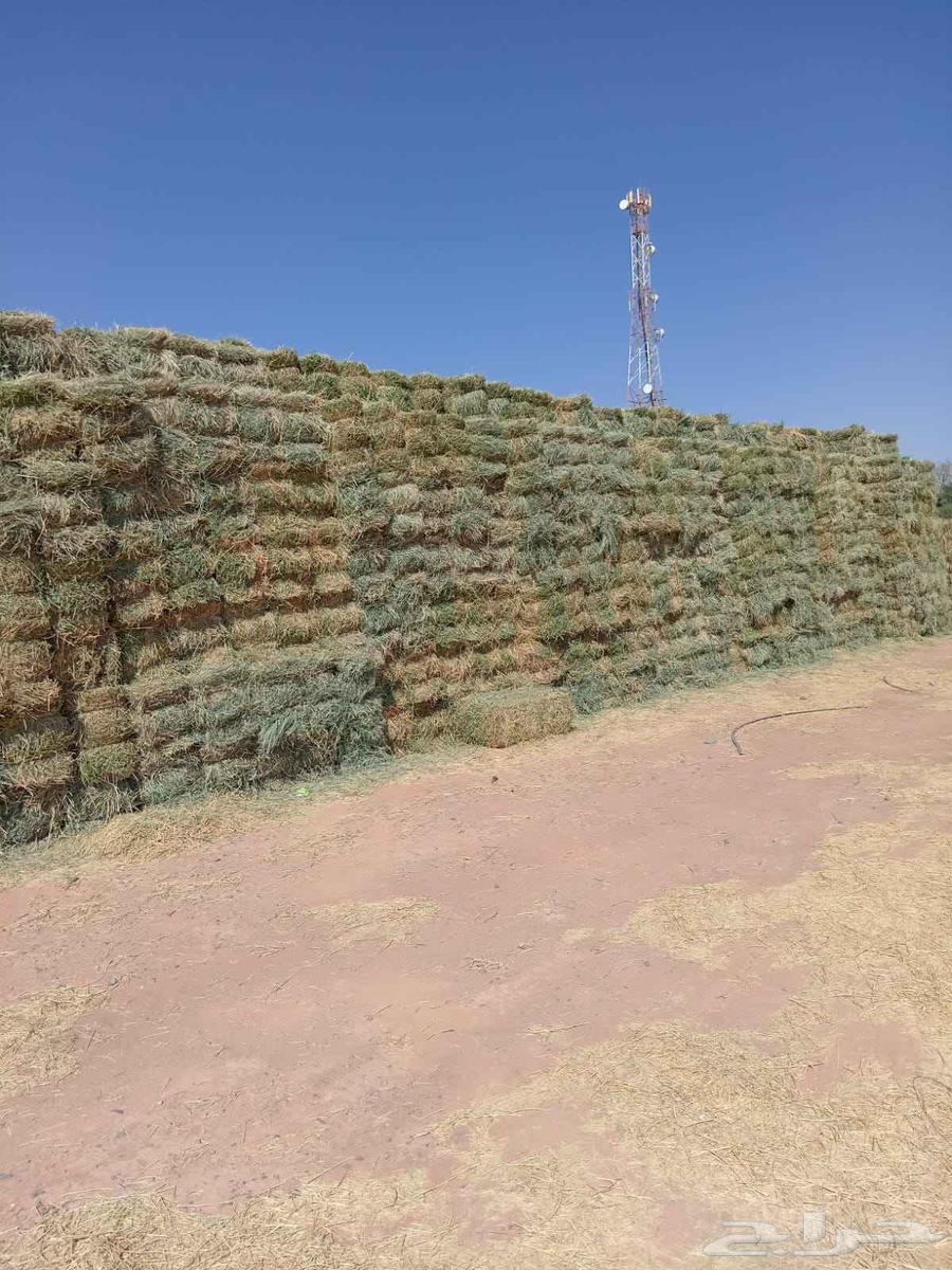 We have mixed clover for sale, contact us64592226002434112