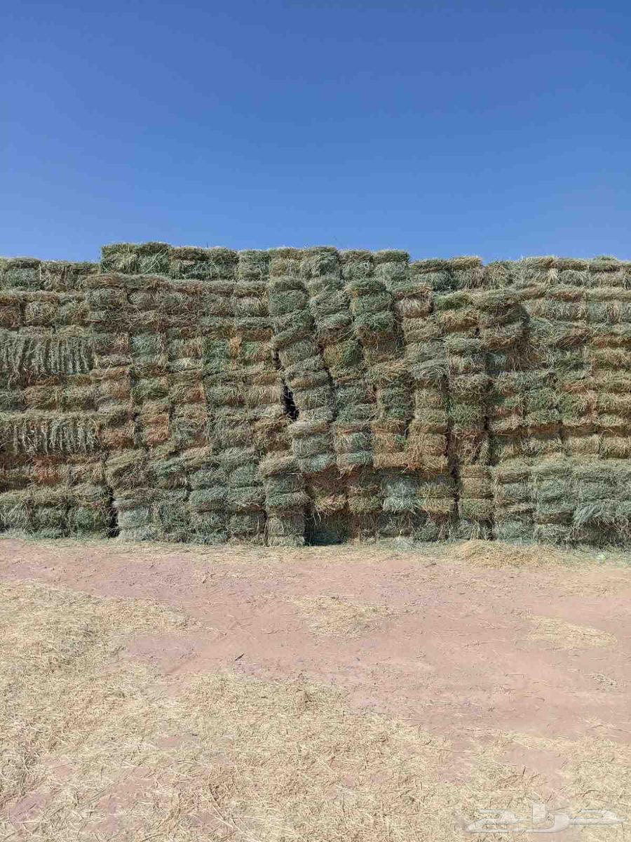 We have mixed clover for sale, contact us64592226002434111