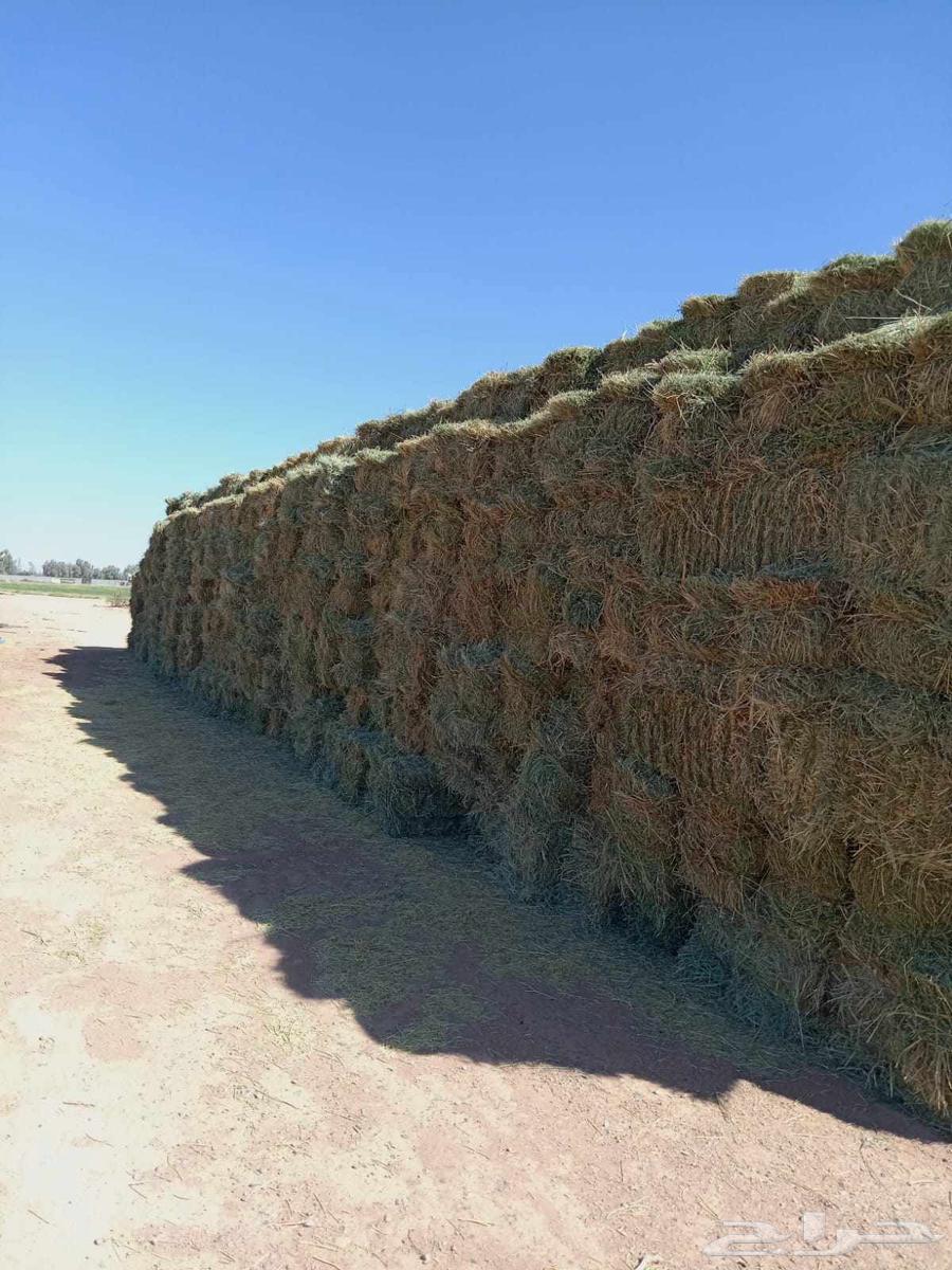 We have mixed clover for sale, contact us64592226002434110