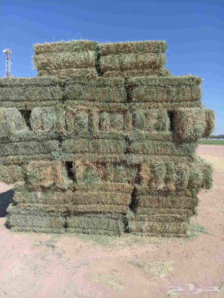 We have mixed clover for sale, contact us64592226002434113