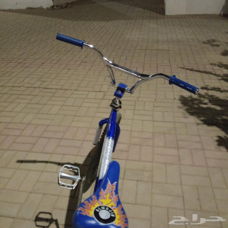 سيكل كوبرا64591743748609114