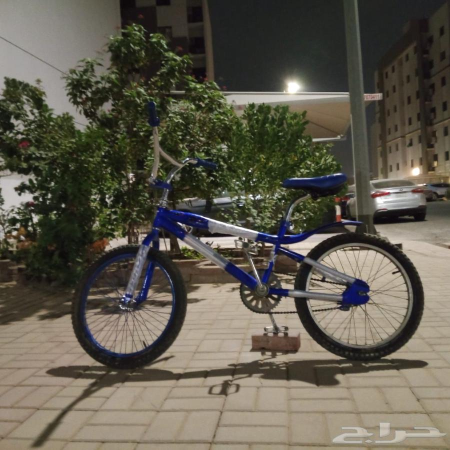 سيكل كوبرا64591743748609113