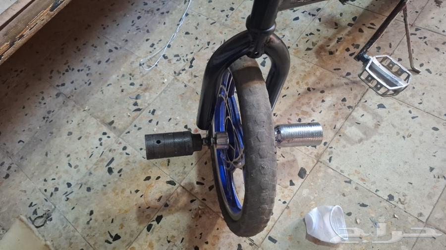 سيكل كوبرا جنوط فراشه64593484955777112