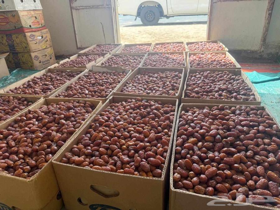 300 date cartons at a good price from 130, weighing 18 to 20 kilos64591262272258110