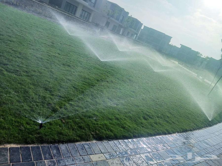 Irrigation, gardening, and landscaping solutions, walkway installation, outdoor lighting64207064811521111