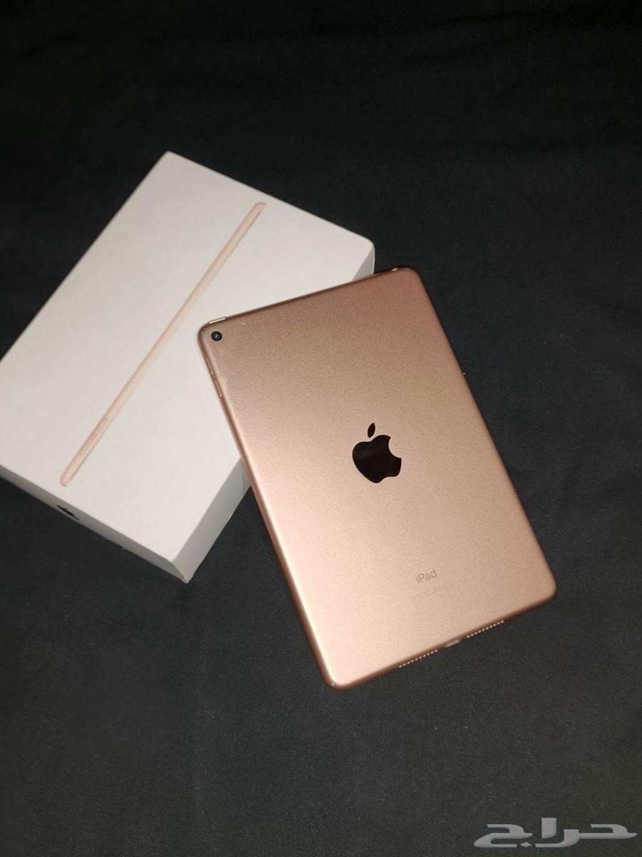 ايباد ميني فايف 2019 GB6464588818776450112