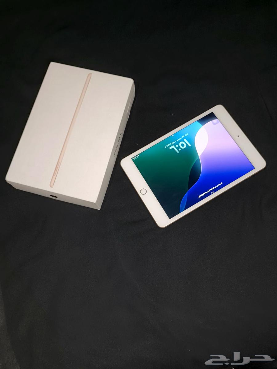 ايباد ميني فايف 2019 GB6464588818776450110