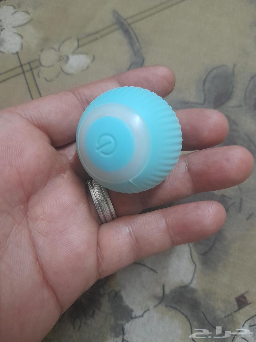 الكرة الذكية للقطط (الكترونية)64593607666307113