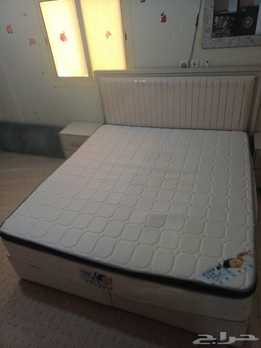 قرفه شبه جديد64590533489539112