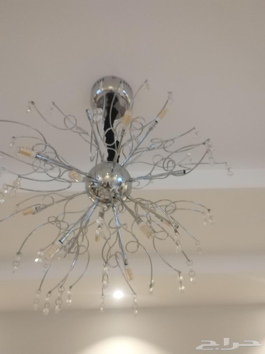 نحفة للبيع 80 ريال64596253526145111