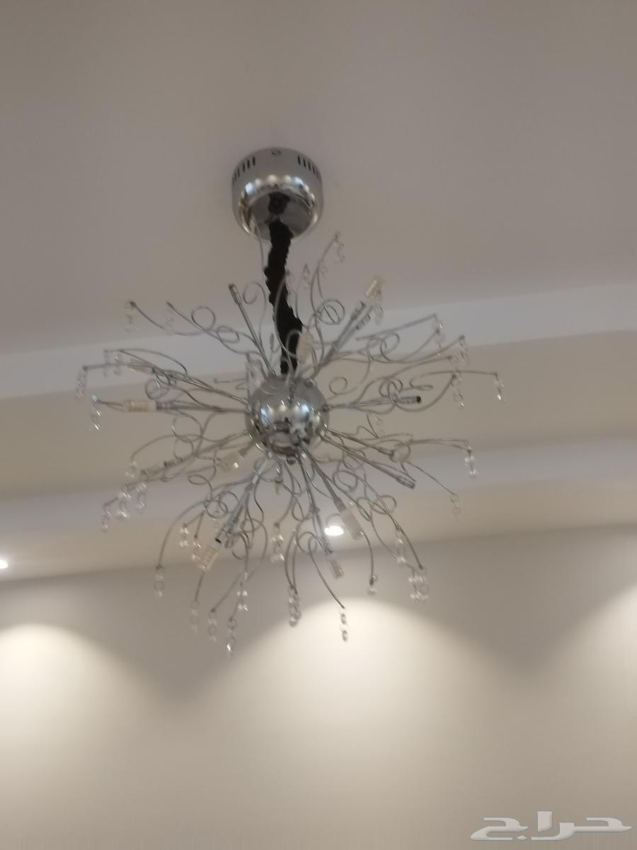 نحفة للبيع 80 ريال64596253526145110