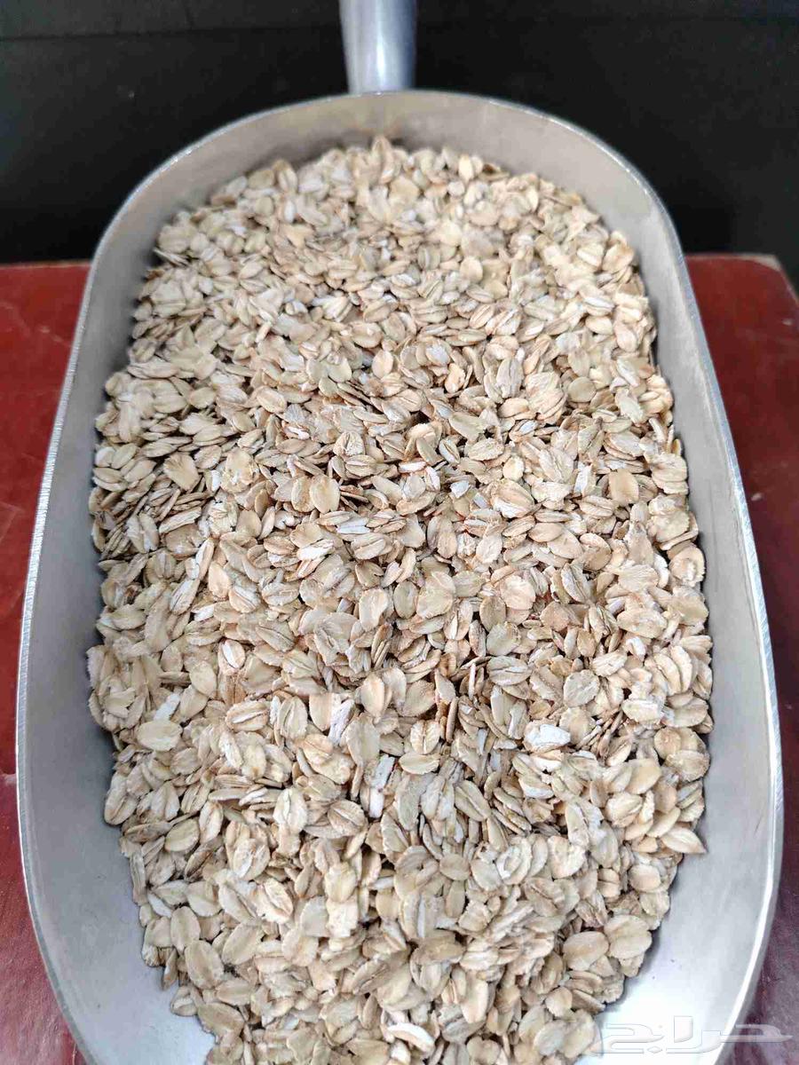 يتوفر لدينا شوفان (طاحون الديرة)64593227990914110