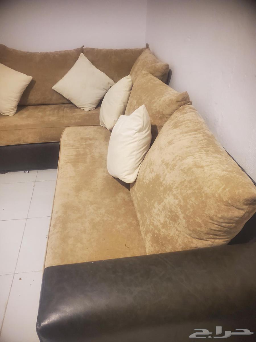 مجلس كبير للبيع مع طاولات تقديم وستائر64589755492225112