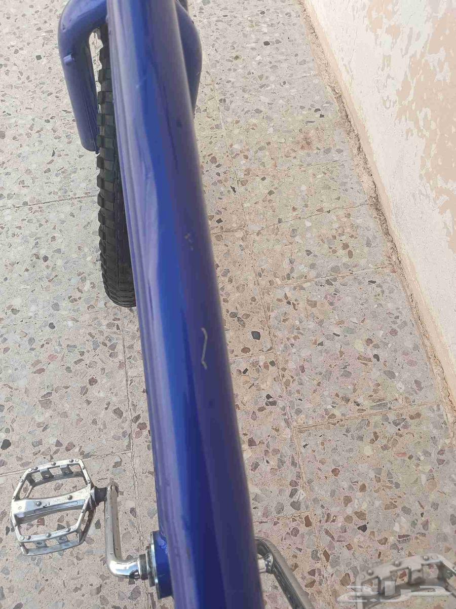 Cobra bicycle size 20, truly amazing, if I start praising it I won't stop64592238086018114