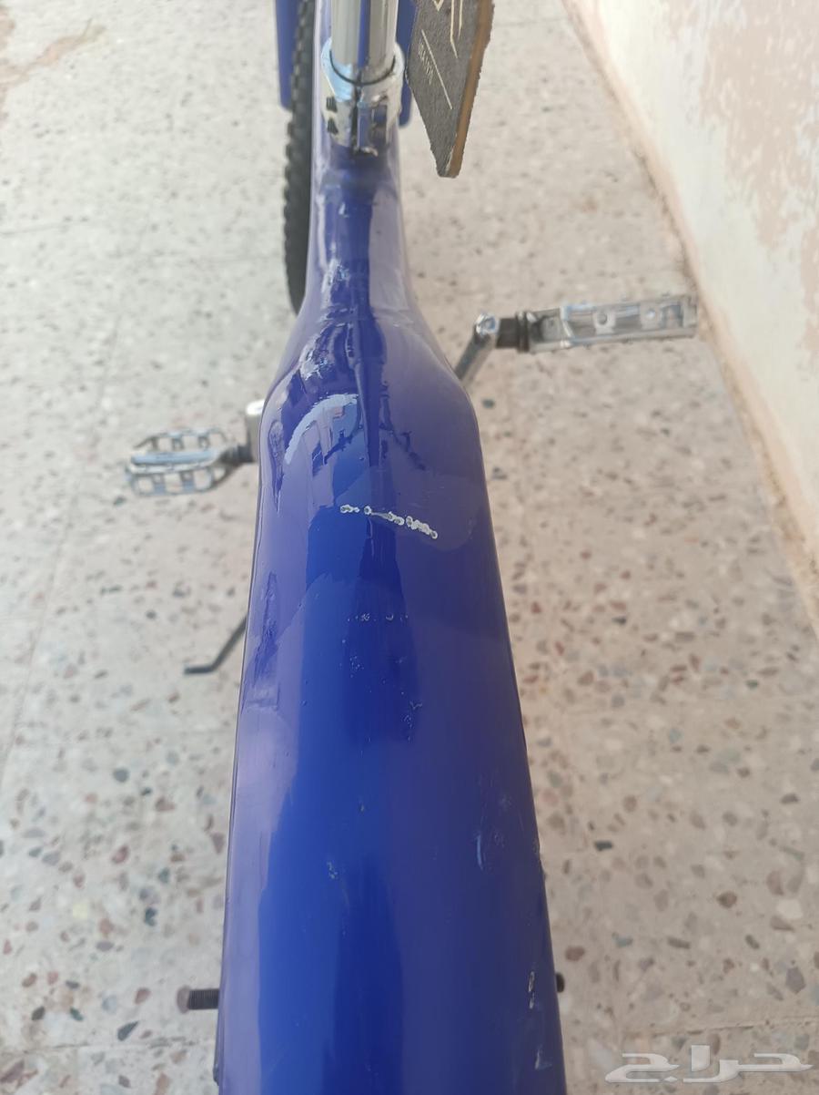 Cobra bicycle size 20, truly amazing, if I start praising it I won't stop64592238086018112