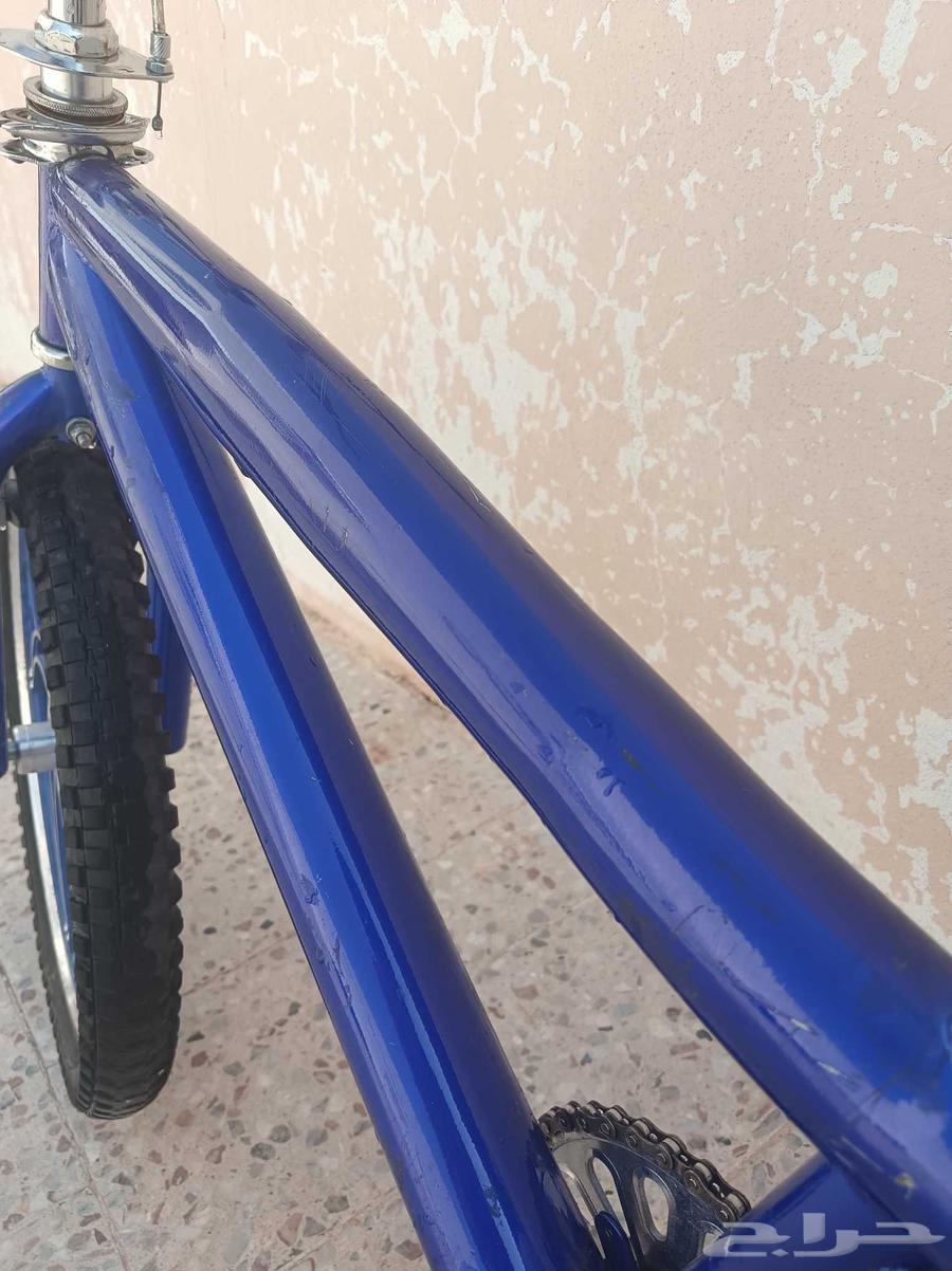 Cobra bicycle size 20, truly amazing, if I start praising it I won't stop64592238086018113