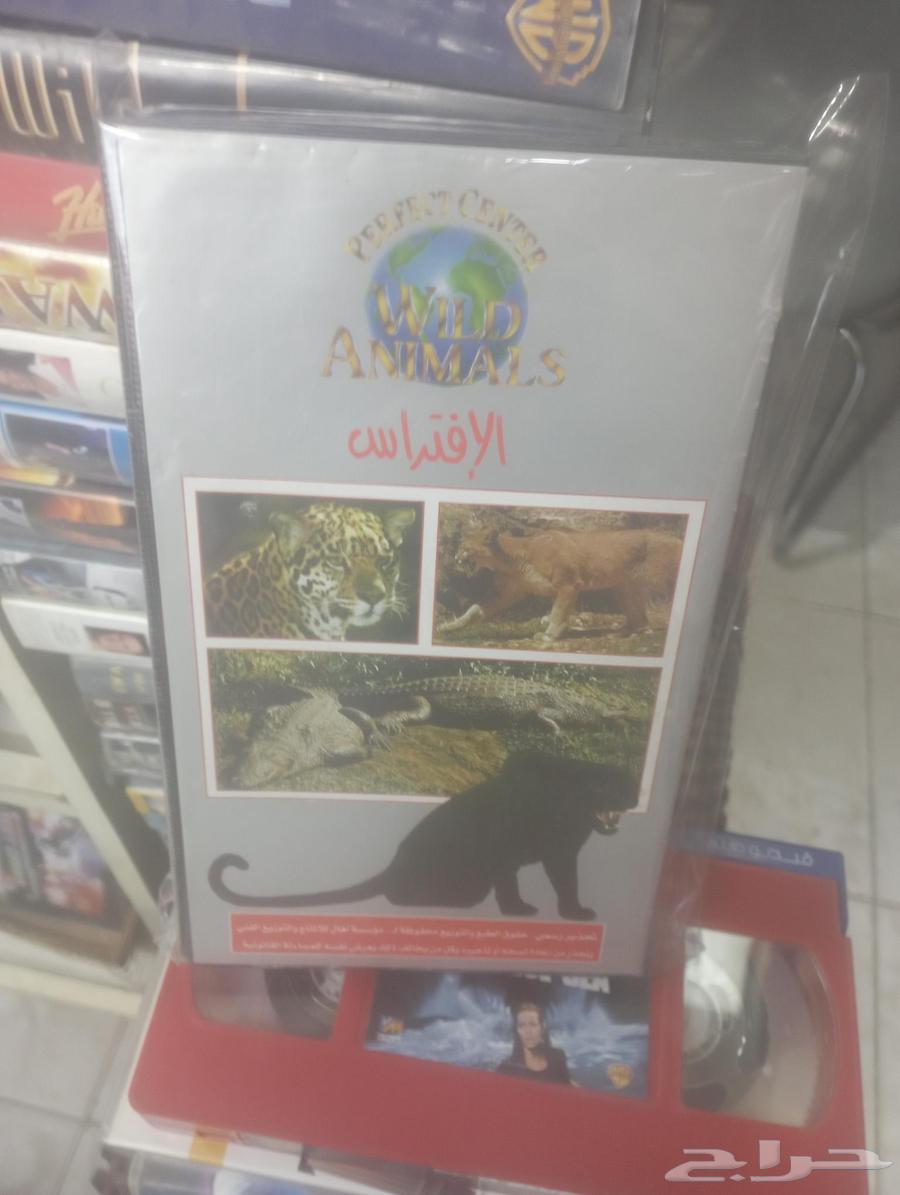 فيديوهات افلام اطفال وغير64593423517185112