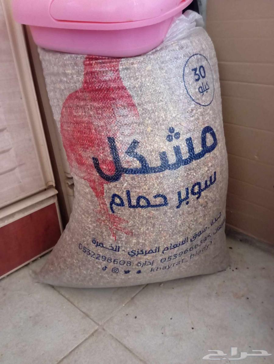 علف دواجن نوعين للبيع64588818847618110