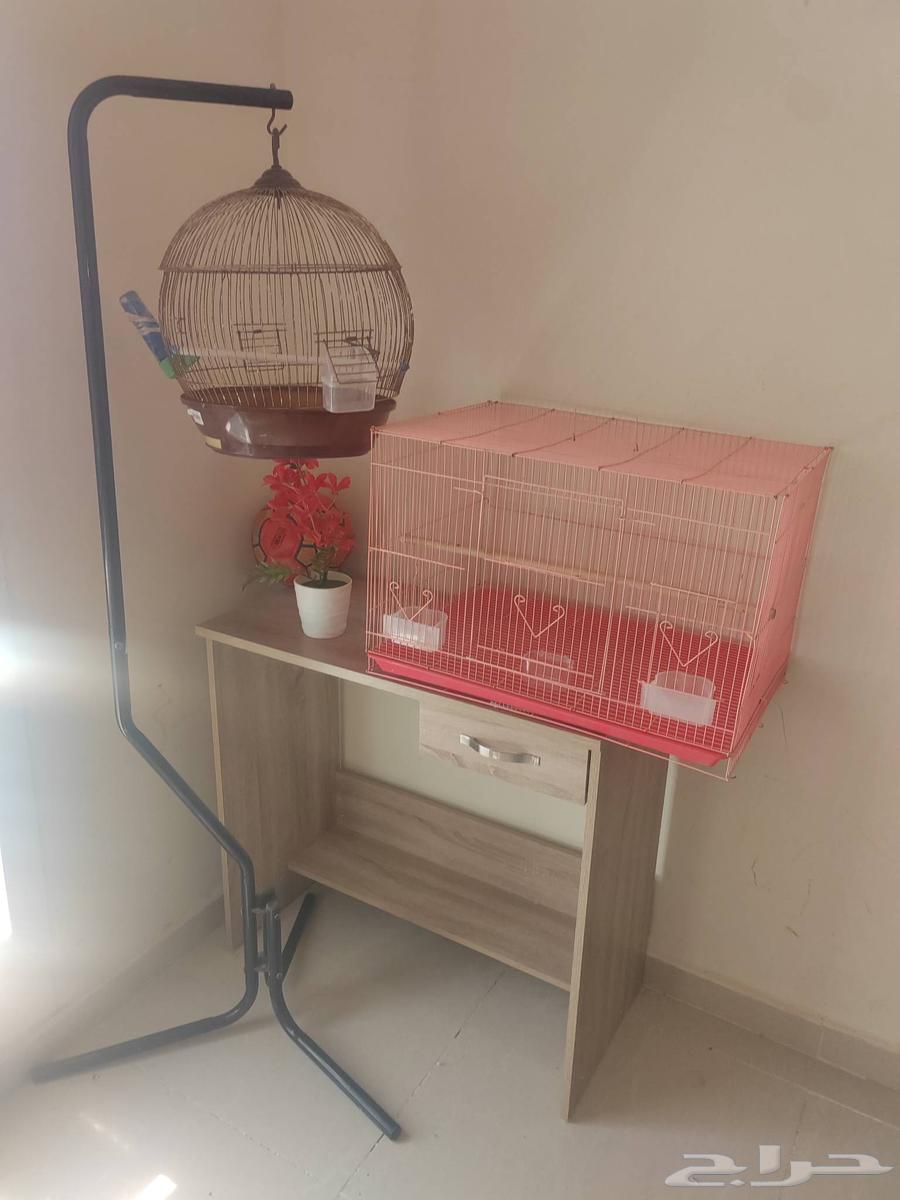 Two cages for breeding canaries in good condition64591020343041110