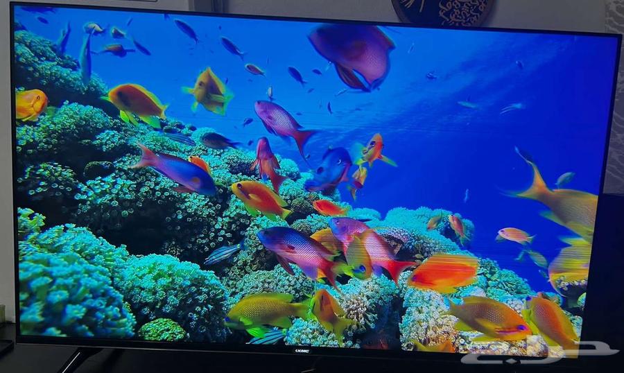 شاشة 50 بوصة - تلفيزيون64595132149635110