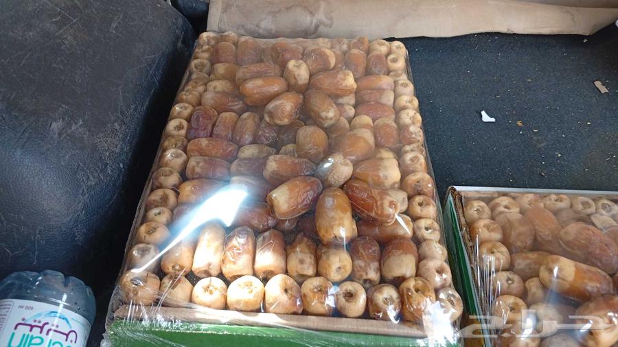 لبيع صقعي ملكي سعر رخيص وطيب64591538570114112