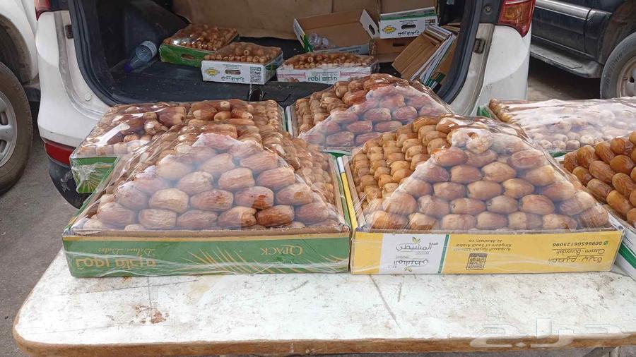 لبيع صقعي ملكي سعر رخيص وطيب64591538570114111