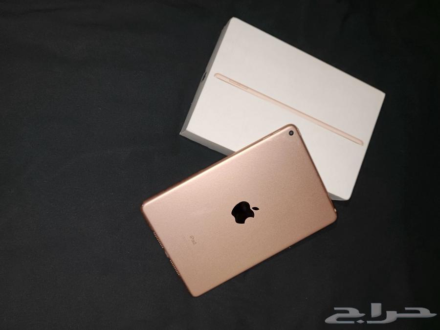 ايباد ميني فايف 2019 GB6464588818776450111