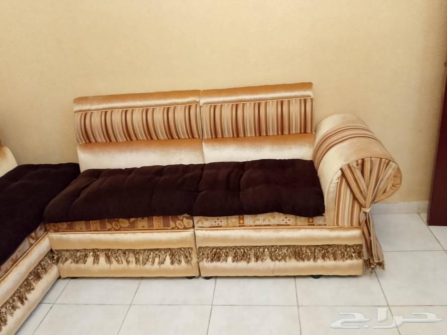 9-meter majlis64589928356482110