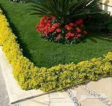 تيل طبيعي وشبكات ري64588955523714110