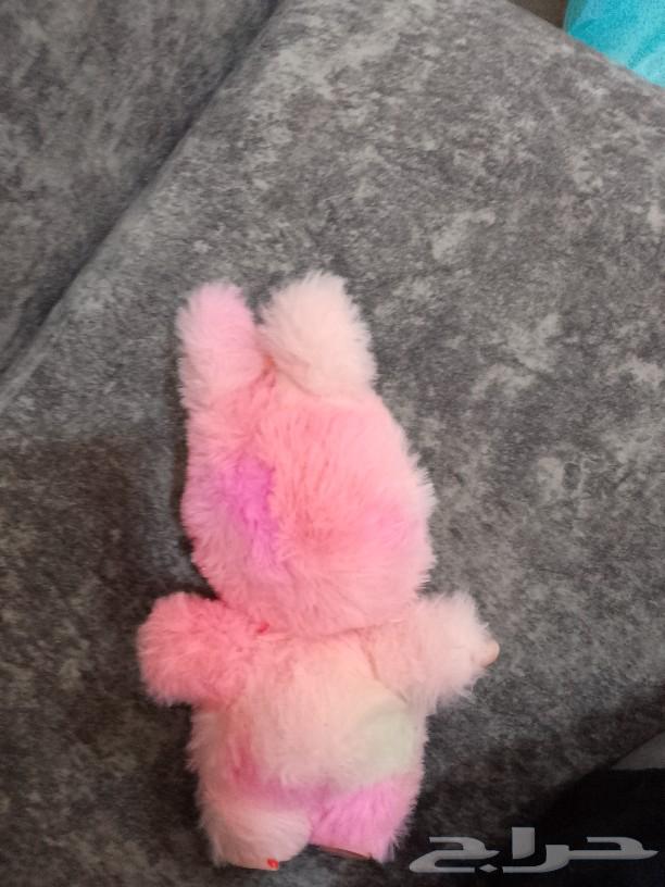 لابوبو الاصلي لون نادر64595267505409111