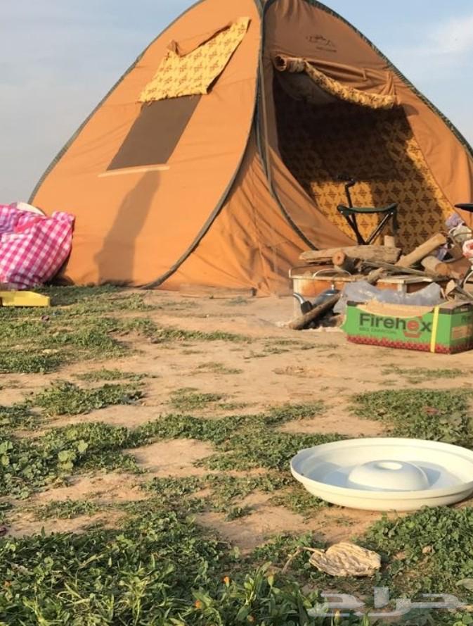 خيمة البرق من برق الحيا64591032423042111