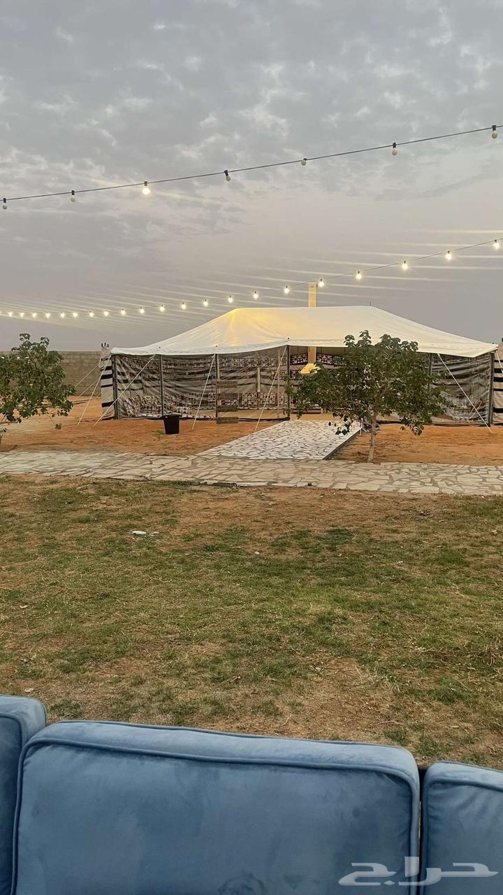 بيت شعر ابيض ..مستلزمات تخييم64590910736514111