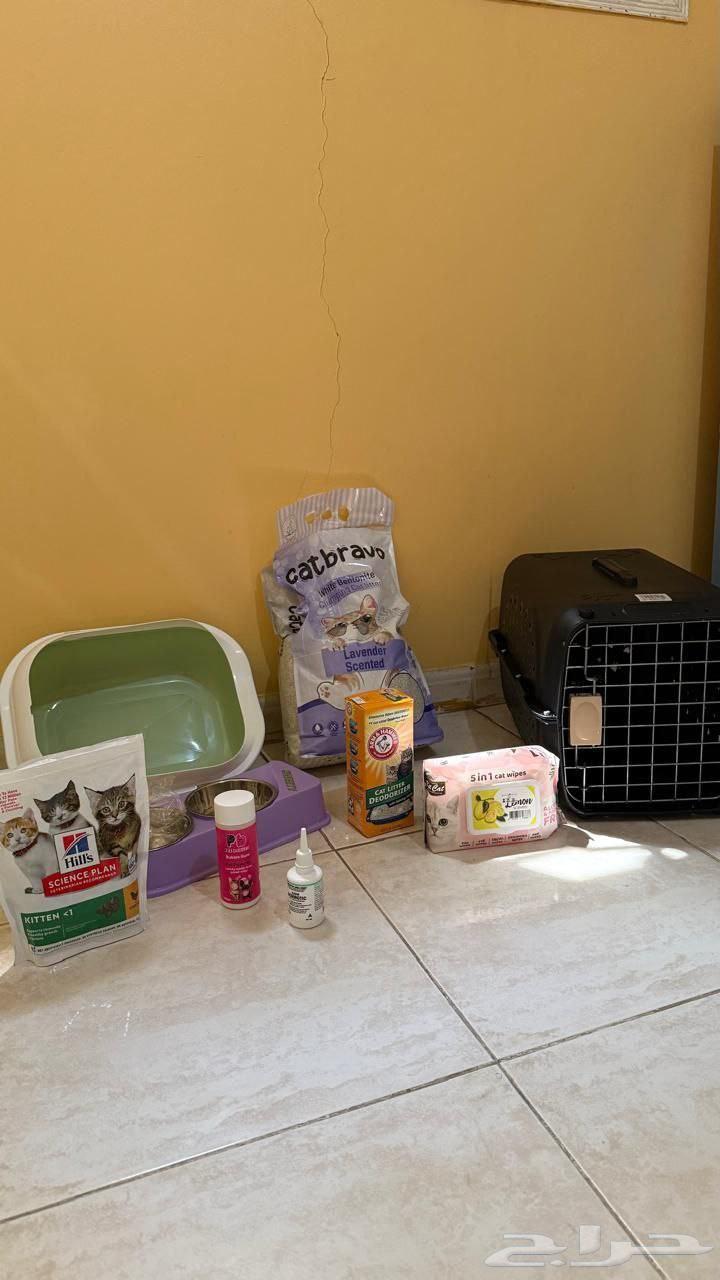 مستلزمات القطط للبيع64589841946371110