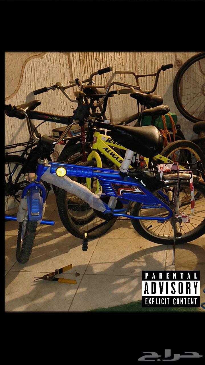 رامبو ازرق نظيف شرط قابل للتفاوض64592612724994111