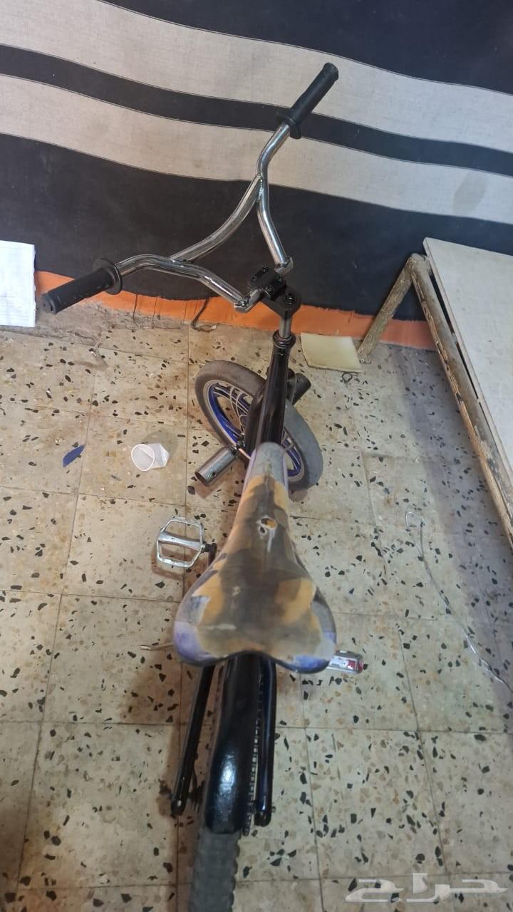 سيكل كوبرا جنوط فراشه64593484955777114