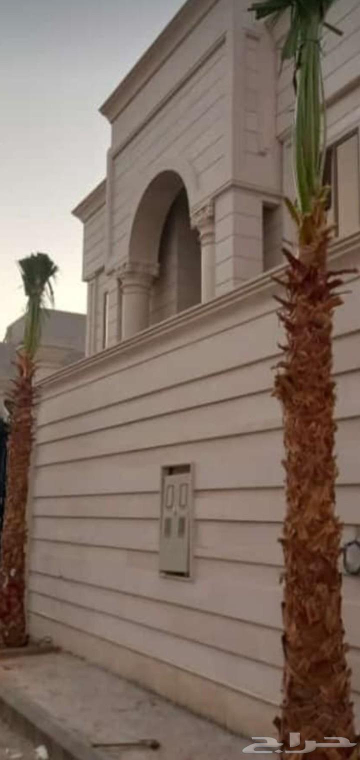 نخل واشنطني للبيع64592733262850113