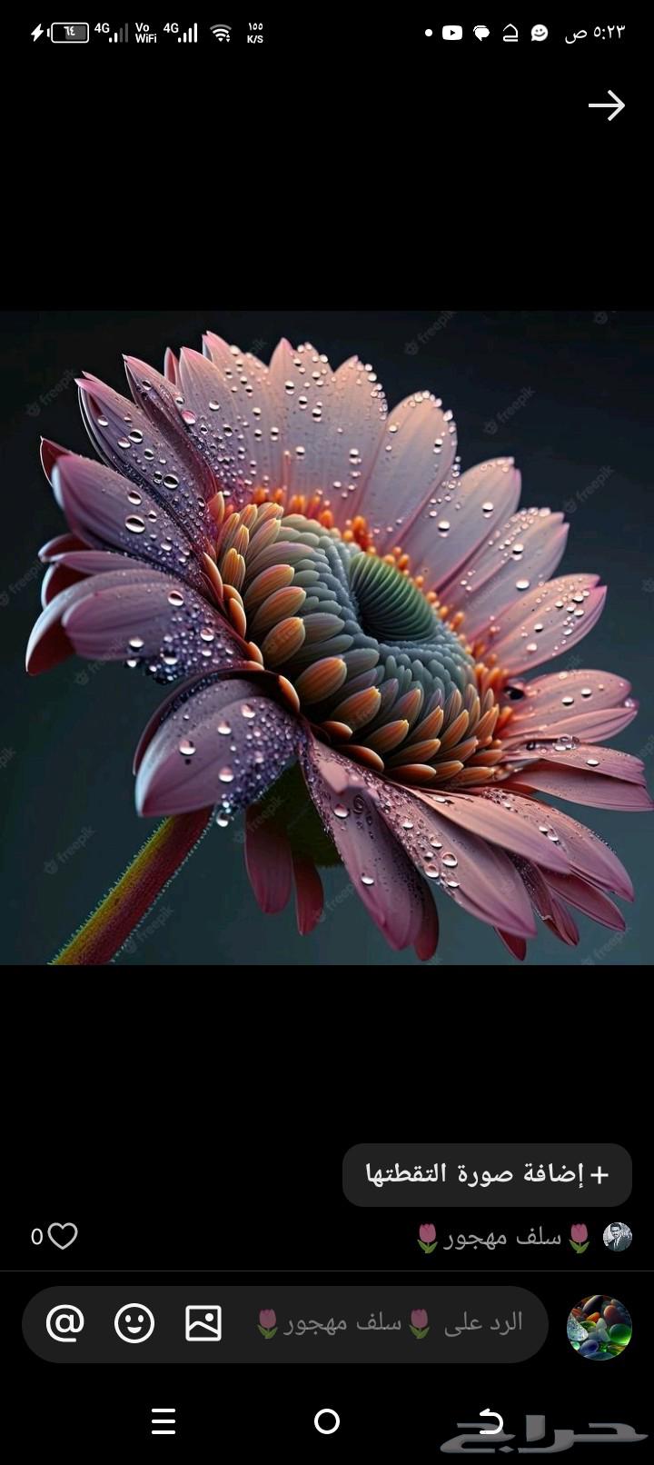 مطلوب مسبح فايبر مستعمل64592950908033110